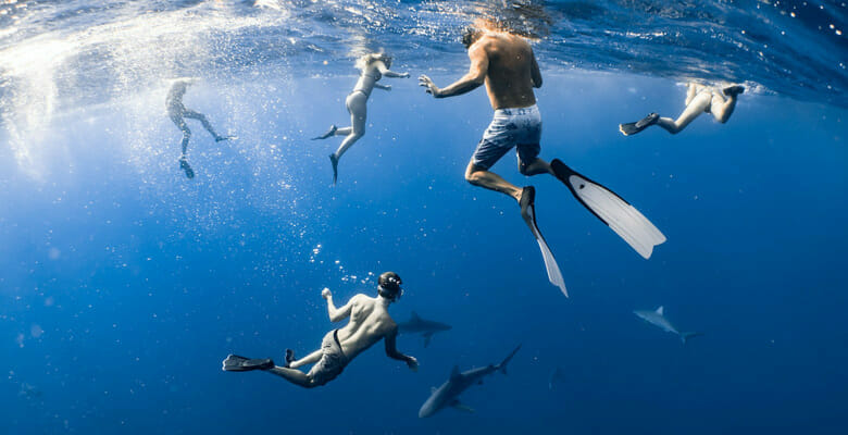 a superyacht charter in Tahiti allows diving with sharks